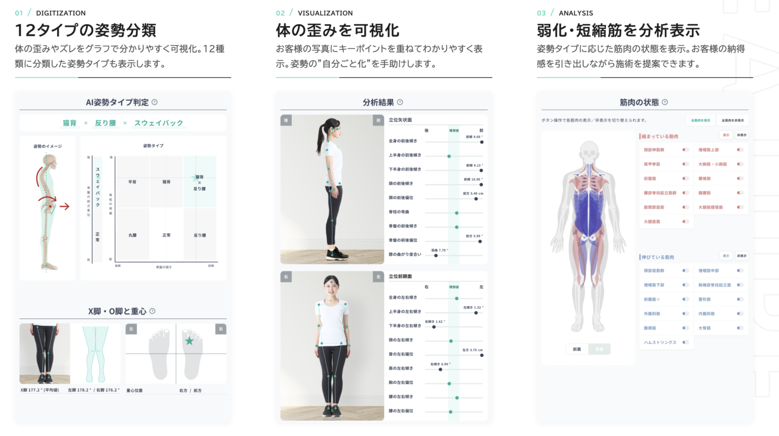 12タイプの姿勢分類・体の歪みを可視化・弱化・短縮筋を分析表示